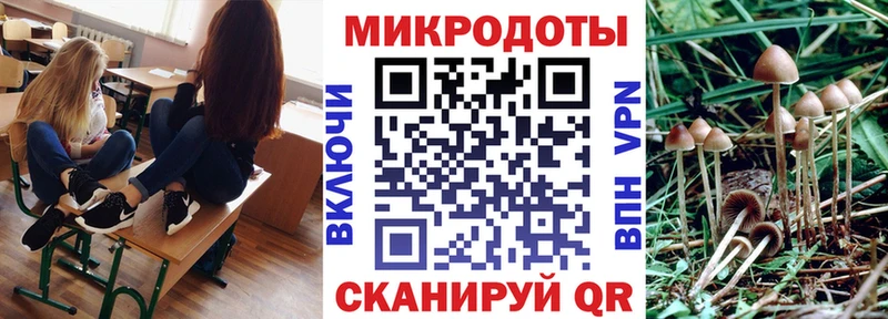 Галлюциногенные грибы Psilocybine cubensis Спас-Клепики