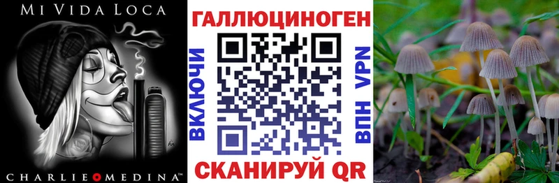 Галлюциногенные грибы мухоморы Спас-Клепики